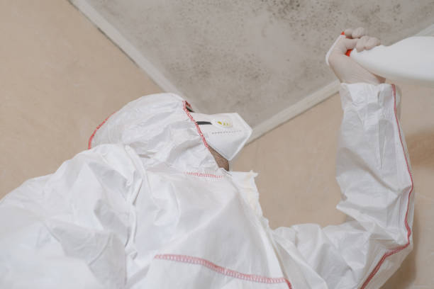 Best Residential Mold Remediation in Midway City, CA